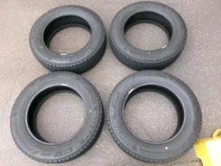 Bridgestone Blizzak WZ-1