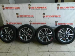 Black Arrow Taga WP10