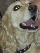 ��������. ����