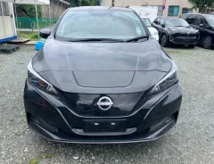 Nissan Leaf. ZE1, EM57 ����