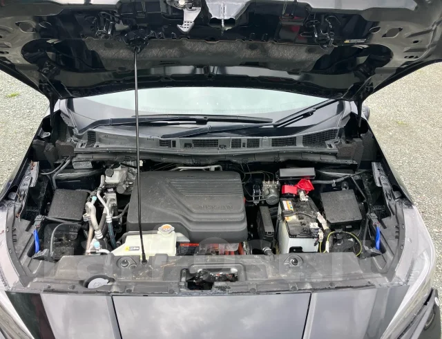 Nissan Leaf. ZE1, EM57 ����