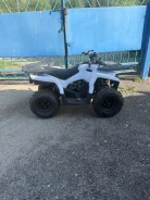 Sharmax 300 Hummer. ��������, �� ����