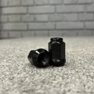�����. ����