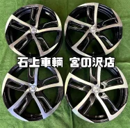 Kyoho Steiner SF-C