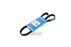 ������ ��������� ������������ EPDM 5PK1008_Globelt_ 5PK1008 ����