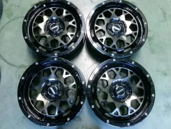 RAYS Team Daytona M9