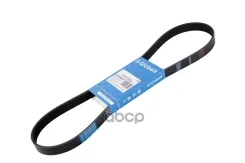 ������ ��������� ������������ EPDM 6PK954_Globelt_ 6PK954 ����