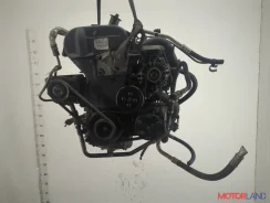 ��������� (���) Ford Fusion 2002-2012 21393254 1302397 ����