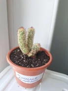 ������. ����