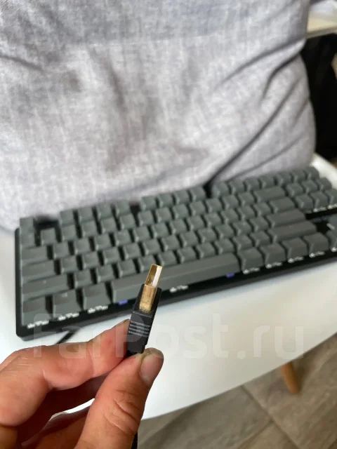 ����������. ����