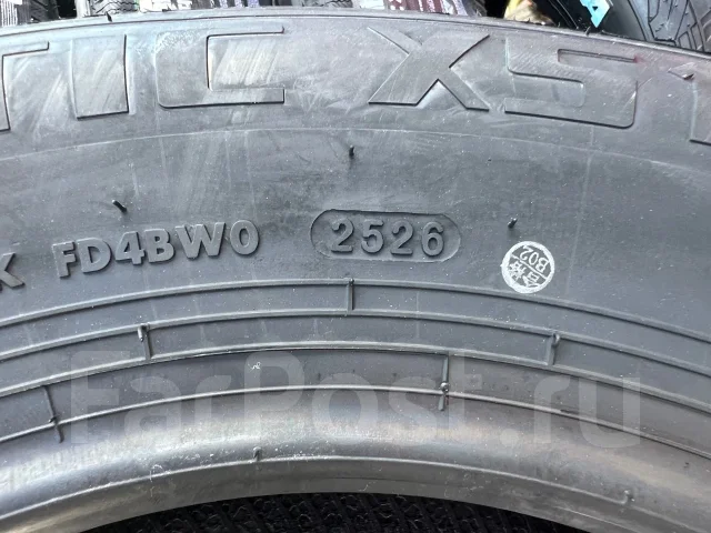Hilo Arctic XS1. ������, ��� �����, 2026 ���, ����� ����