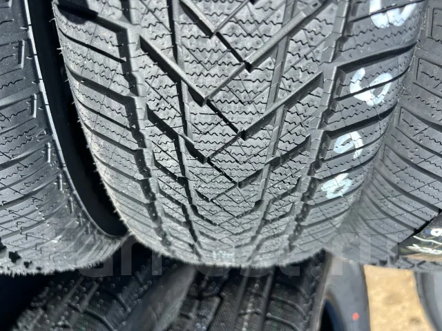 RoyalBlack Royal Winter HP. ������, ��� �����, 2026 ���, ����� ����