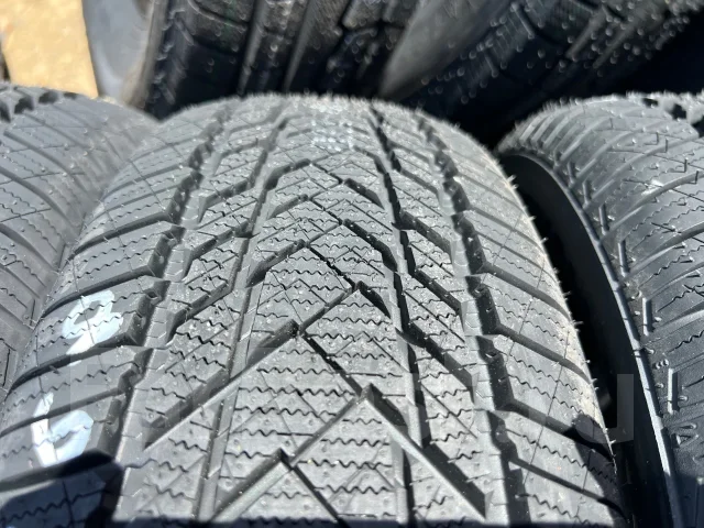 RoyalBlack Royal Winter HP. ������, ��� �����, 2026 ���, ����� ����