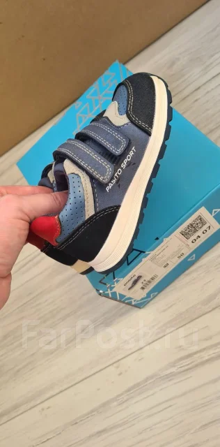 ���������. 23 ����