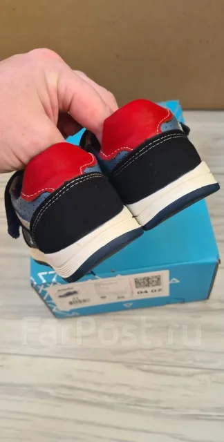 ���������. 23 ����