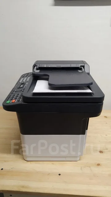 ��� ��������. ����