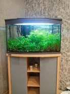 �������� Tetra ����