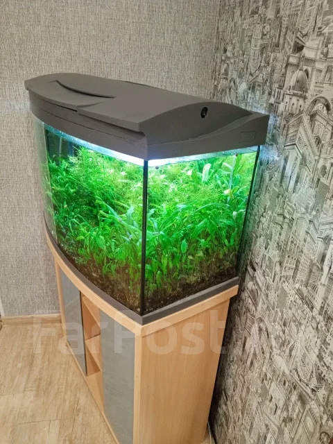 �������� Tetra ����