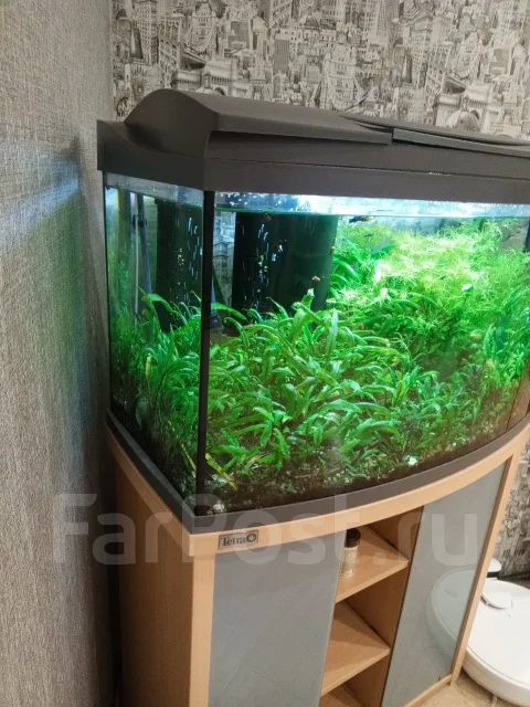 �������� Tetra ����