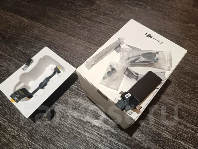 DJI Mini 2. � ������� ����