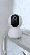 IP-������. ����