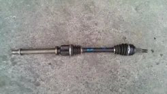 ������ Renault Kangoo 304994, �������� ������ 304994 ����