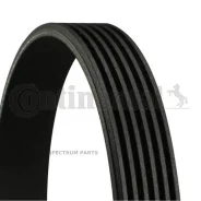 ������ 6PK2115 31110-R2A-M12 Contitech 6PK2115 REM6. 6PK2115 6PK2115 ����