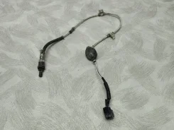 ������ ����������� Honda Accord 2002-208 36532RADL11 36532RADL11 ����