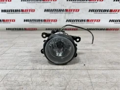 ��� Ford Focus 2 2008 1209177 ������� 5D CB4 1.6 SHDA 1209177 ����