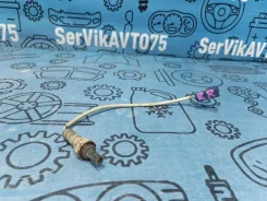 ������ ����������� Nissan Skyline 2002 226A0AM601 PV35 VQ35DE, ������ ������ 226A0AM601 ����