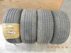 Luccini Buono Cuv