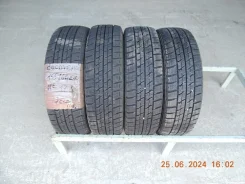 Goodyear Ice Navi Zea II