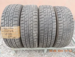 Goodyear Ice Navi Zea II