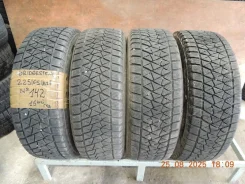 Bridgestone Blizzak DM-V2