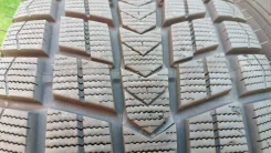 Nexen Winguard Ice