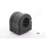 ������ ��������. Captiva RUC01 ����