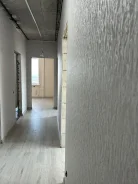 ������ ������. ����