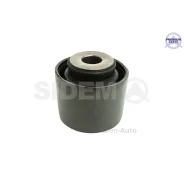 ����������� ��� ������ ����. Renault-Dacia Duster-Kaptur-Arkana 805708 ����