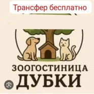 ��������� ��� ��������. ����