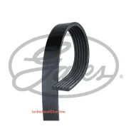 ������ ������������ XF Gates 6PK1275 6PK1275 ����