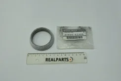 ������ ��������� (����������) - Original 100% Nissan ���. 206955TA0A 206955TA0A ����