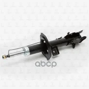 ����������� �������� ������ (NS) TORR ���. DV1124R DV1124R ����