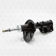 ����������� �������� ����� Carisma TORR ���. DV1163L DV1163L ����