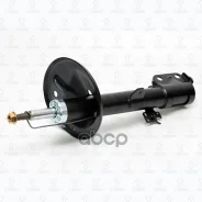 ����������� �������� ������ RAV4 2000-2005 TORR ���. DV1207R DV1207R ����