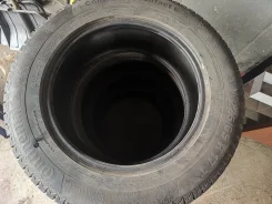 Continental. ������, ��� �����, 2016 ���, �/�, ����� 5 % ����