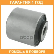 ����������� CTR / GV1141 �������� 12 ��� GV1141 ����