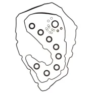 ���. �������� ��������� ������ KP KP01150 ����