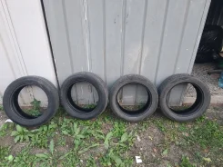 Minerva F209. ������, 2020 ���, �/�, ����� 30 % ����