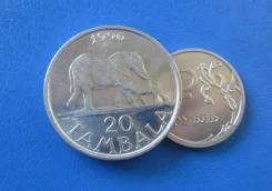 381� . ������ . 20 ������� 1996 � . UNC . . ����