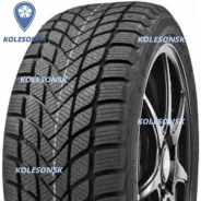 Delinte Winter WD6